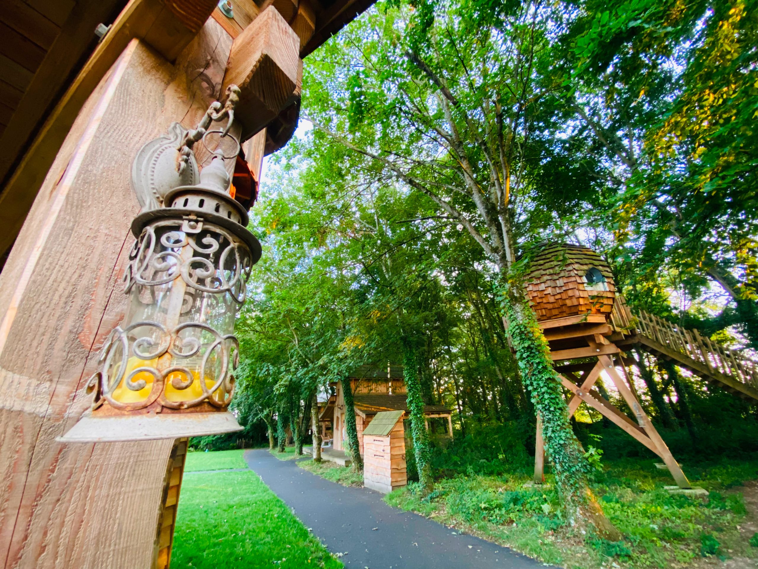 Cabane dans les arbres avec lanternes anciennes et verdure environnante.
