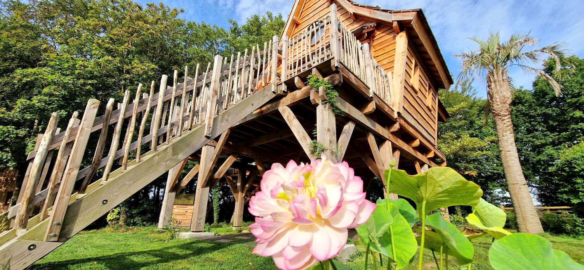 IMG_3752-_1_ Cabane perchée en bois en Bretagne, entourée de fleurs et verdure luxuriante.