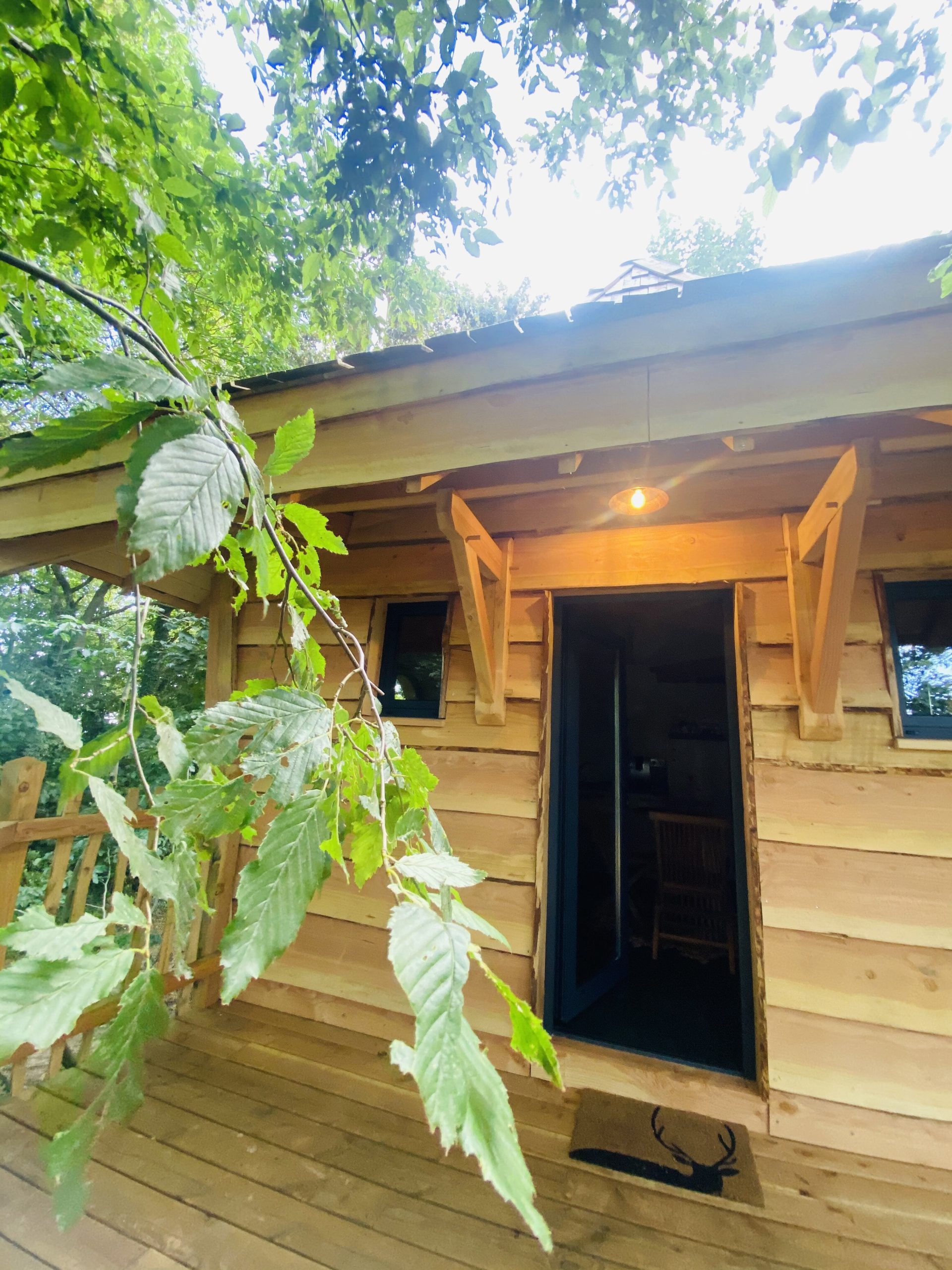 IMG_7852 Cabane en bois perchée en Bretagne, entourée de verdure luxuriante.