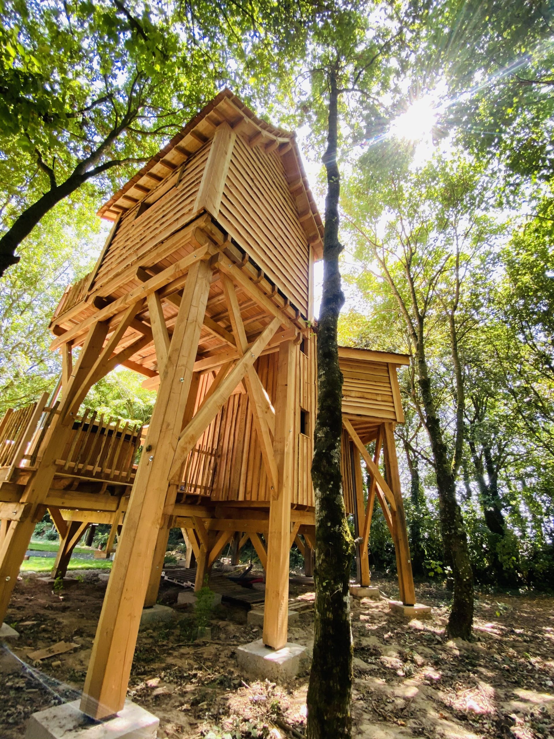 IMG_7965 Cabane perchée en bois en Bretagne, entourée darbres verdoyants et lumineuse.