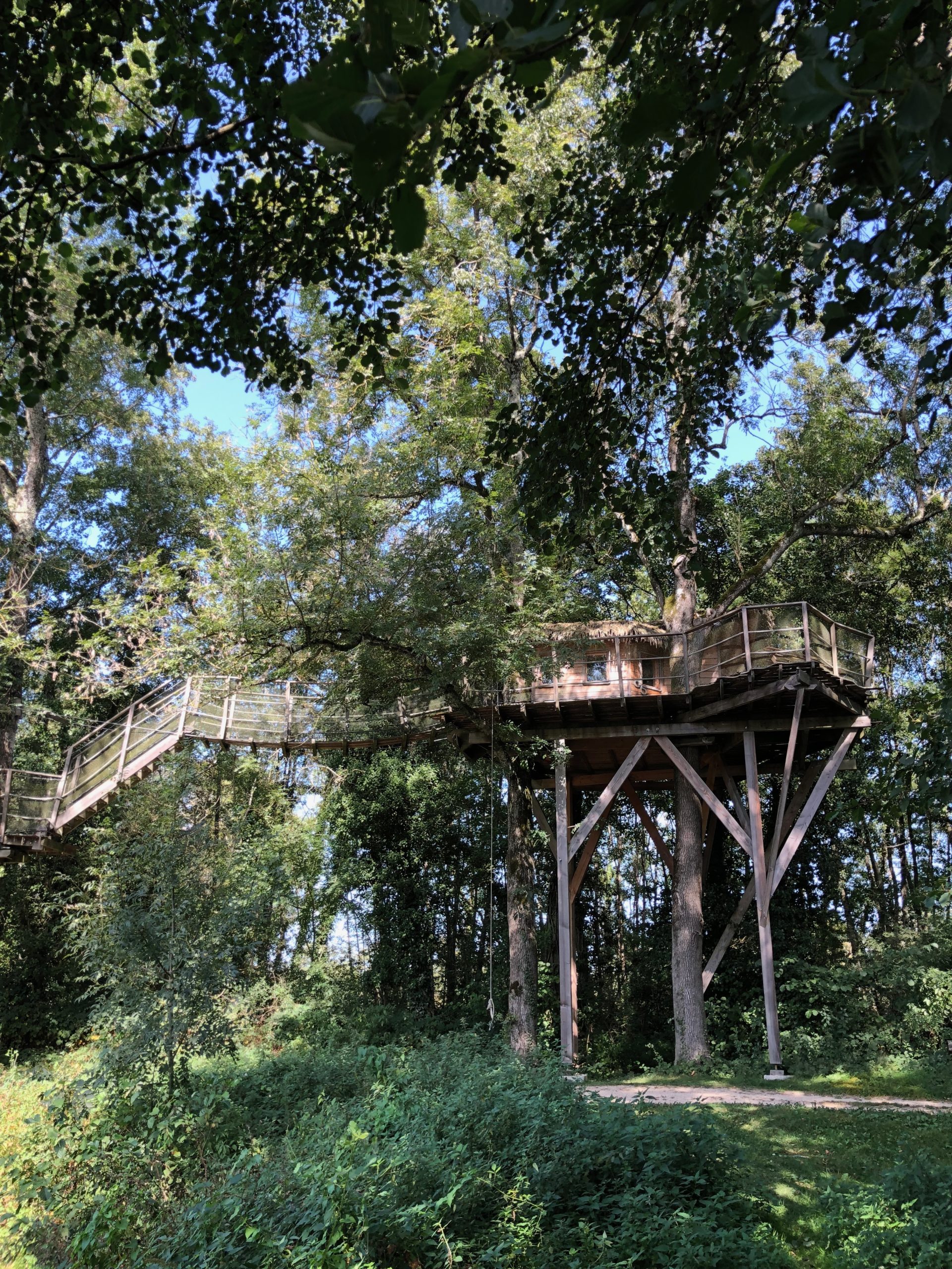 IMG_8458 Cabane perchée dans les arbres, entourée de verdure, offrant une vue imprenable.
