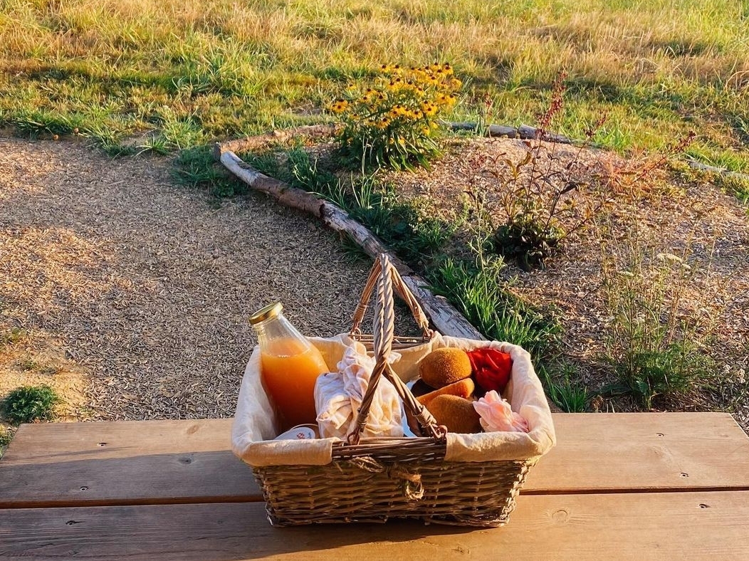 Screenshot_20230825_130106_Instagram Panier gourmand devant un hébergement insolite en Aquitaine, entouré de verdure.