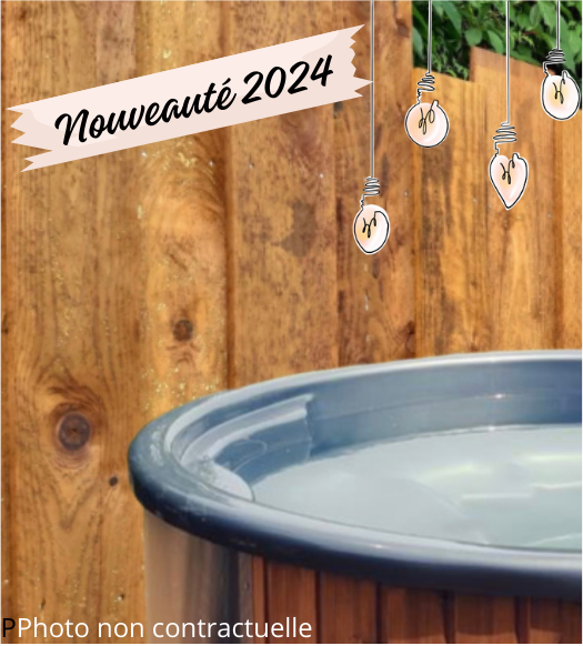 spa bain nordique privatif Hébergement insolite avec un jacuzzi en bois, ambiance cosy et lumineuse.