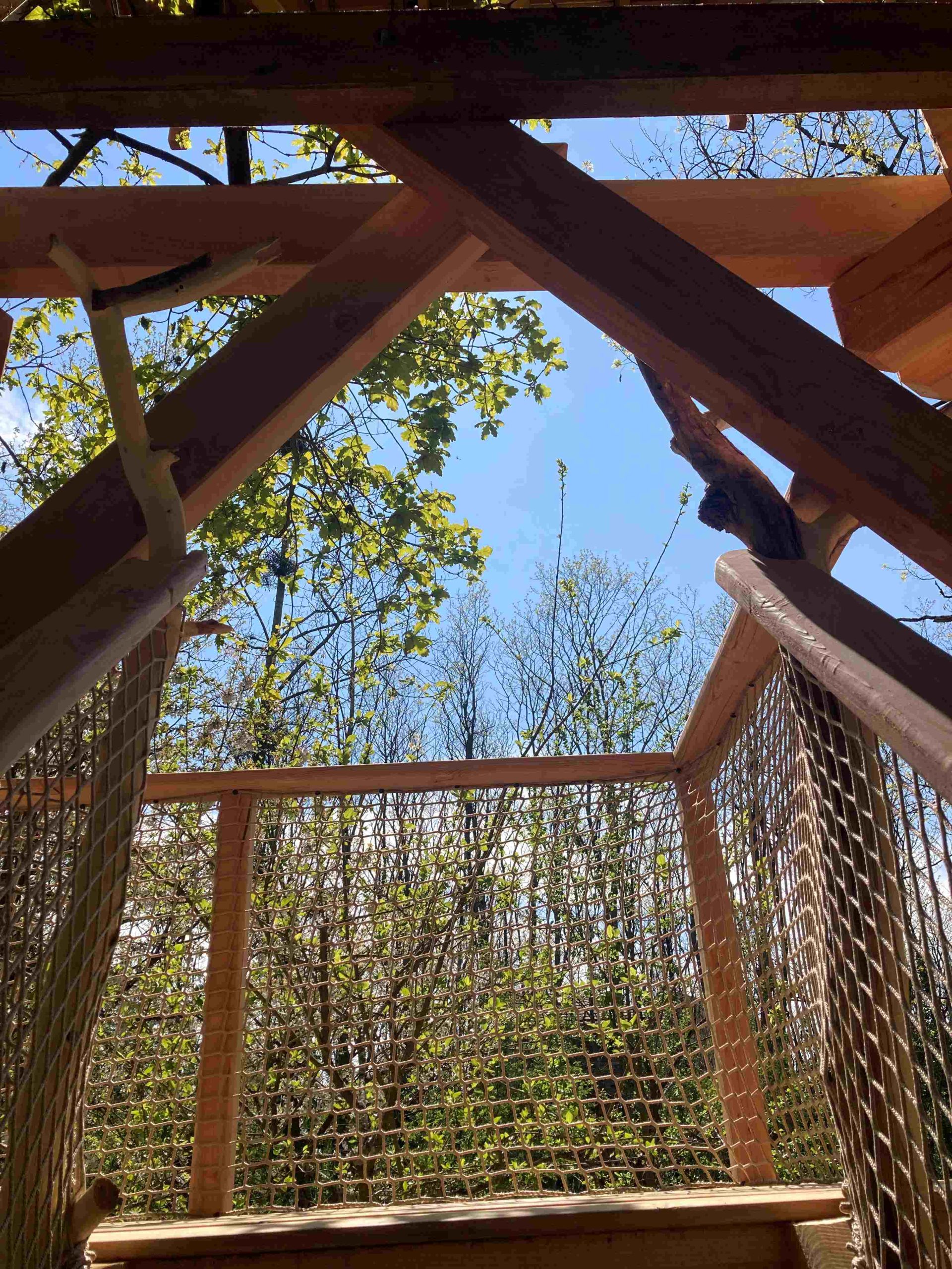 verger escalier Cabane dans les arbres avec vue sur la canopée et ciel bleu. Évasion nature garantie.