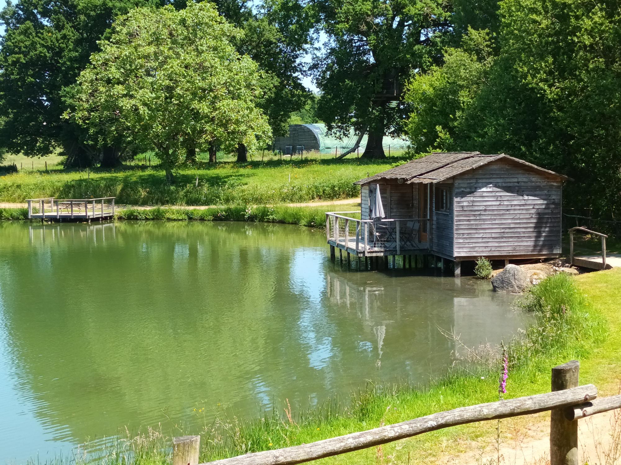 20230602_140516 Cabane sur pilotis au bord dun étang, entourée de verdure paisible.