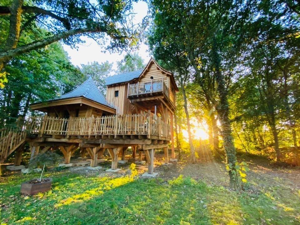 Cabane perchée en bois en Bretagne, entourée darbres et baignée par la lumière du soleil.