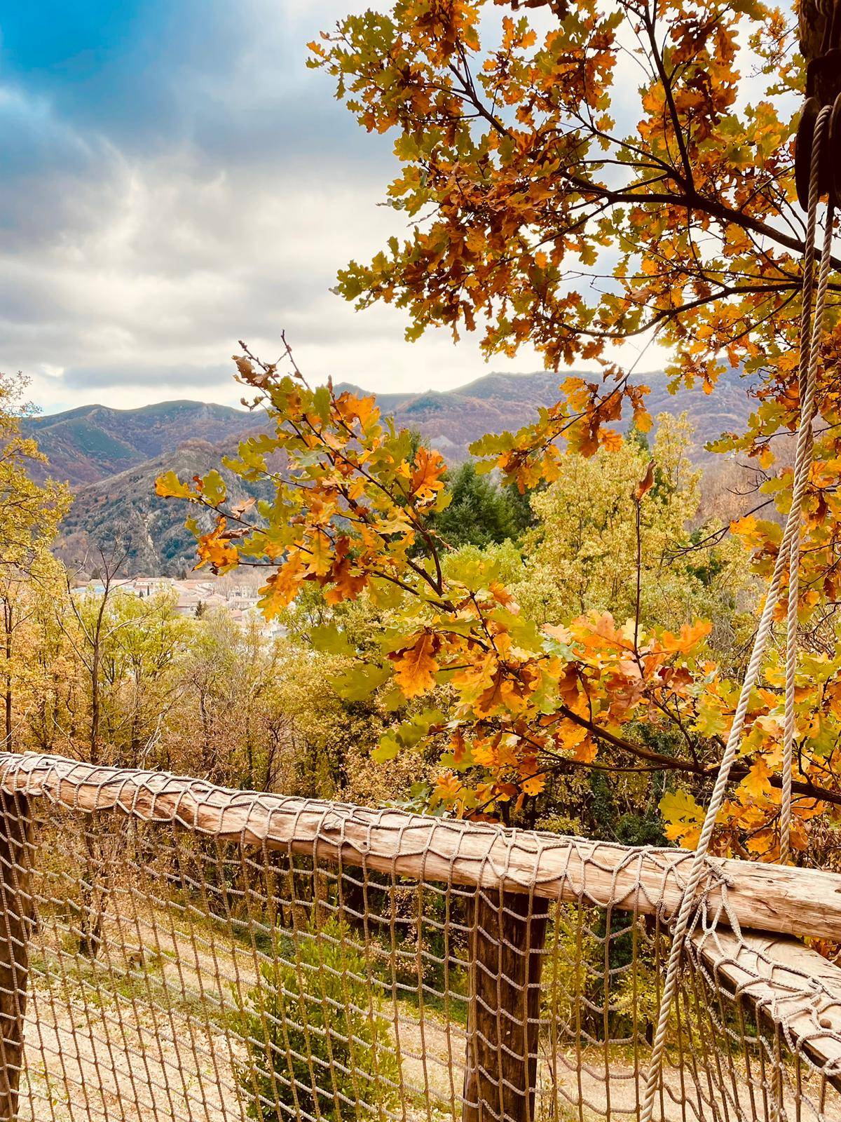 LOW_IMG-20231126-WA0007