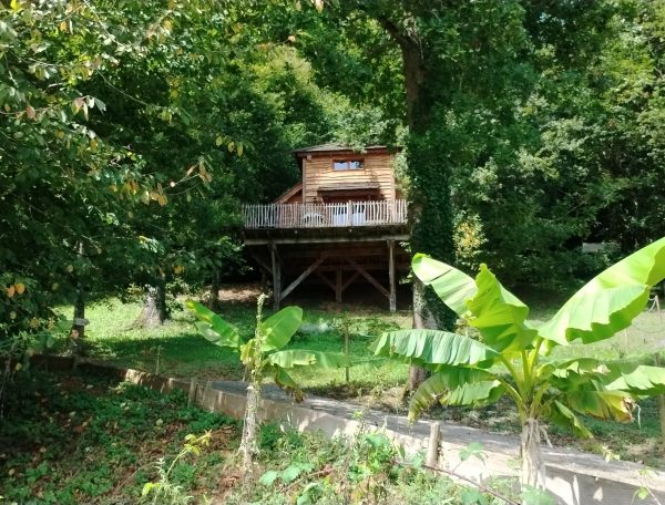 Cabane perchée en Aquitaine, entourée de verdure et de bananiers.