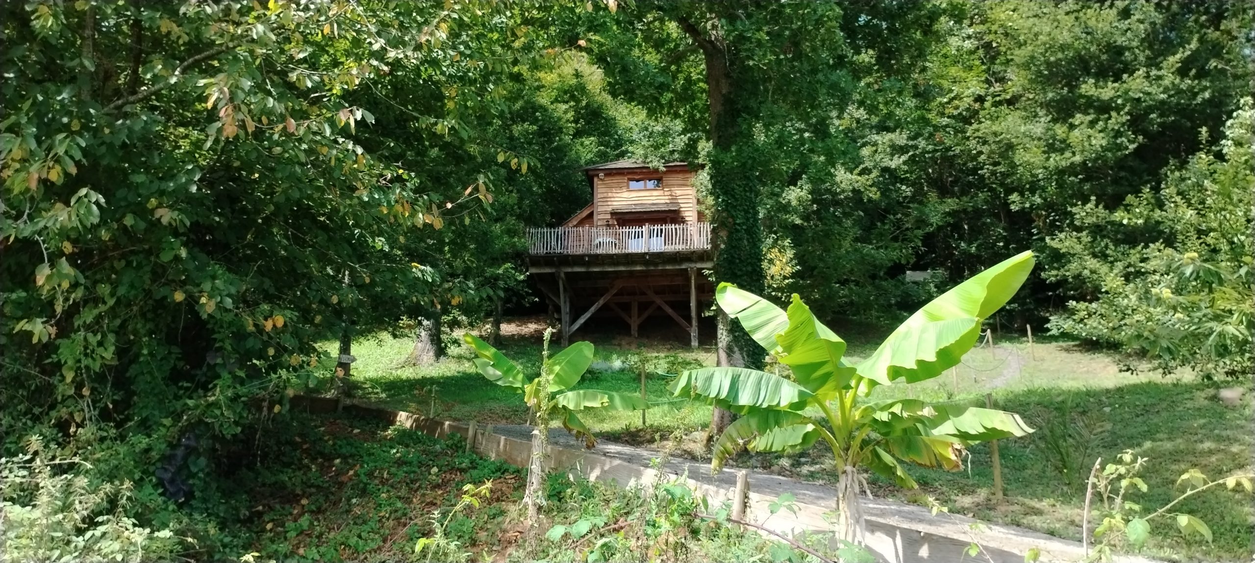 Cabane perchée en Aquitaine, entourée de verdure et de bananiers.