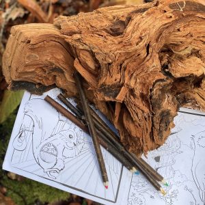 Cabane en bois dans la forêt, avec crayons et livre de coloriage sur une souche.