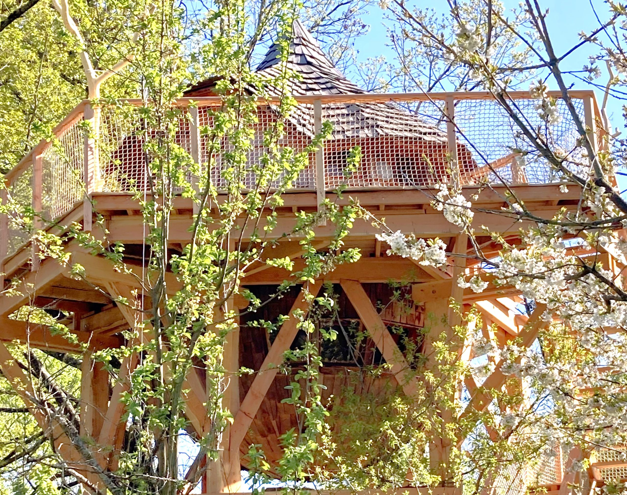cabanes dans les arbres Tours Touraine paysage Cabane perchée dans les arbres, entourée de fleurs printanières et de verdure.