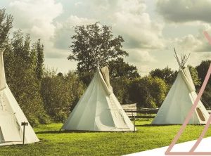 Tentes tipis blanches dans un cadre verdoyant, parfaites pour un séjour nature.