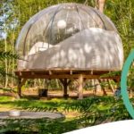 Hébergement insolite : bulle transparente au cœur de la nature, entourée de verdure.