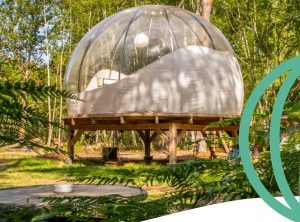 Hébergement insolite : bulle transparente au cœur de la nature, entourée de verdure.