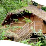 Cabane dans les arbres avec toit de chaume, nichée au cœur de la forêt verdoyante.