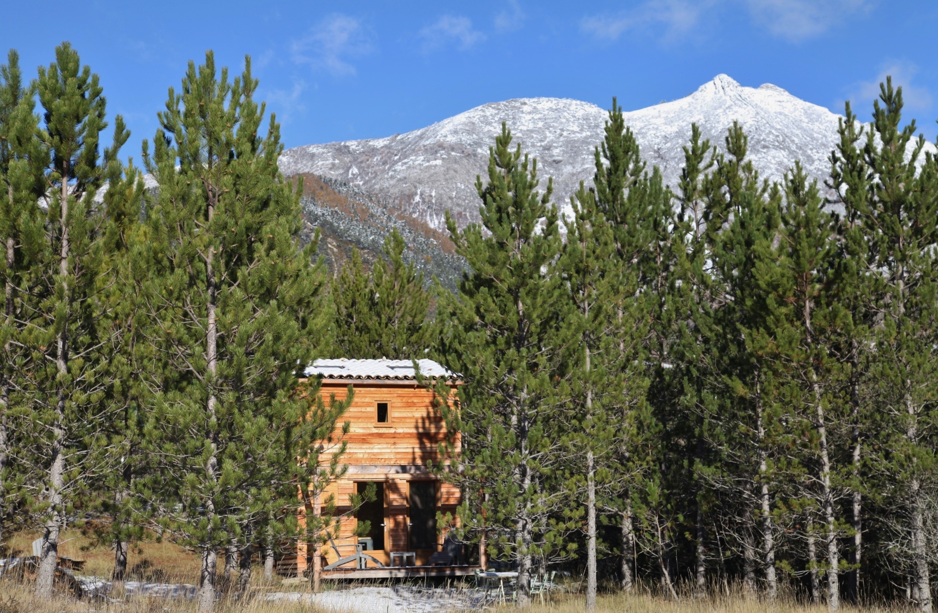 ©TerredesBaronnies-Cabane Pégase-Hiver-Alpes Provence Cabane en bois nichée parmi les pins, avec montagnes enneigées en arrière-plan.