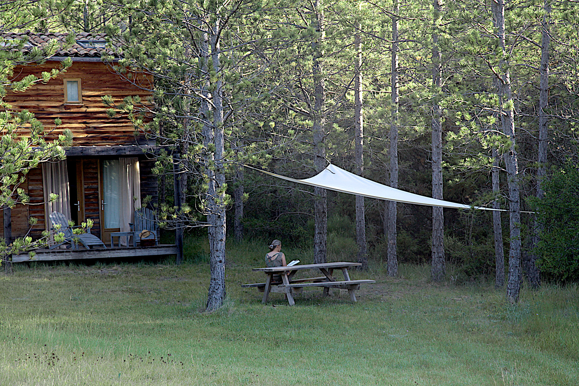 ©TerredesBaronnies-Cabane Pégase-Terrasse- Provence et Montagnes Cabane en bois au milieu des pins, avec une terrasse et un coin pique-nique.