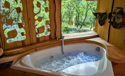 Cabane perchée l’Envol du Phénix