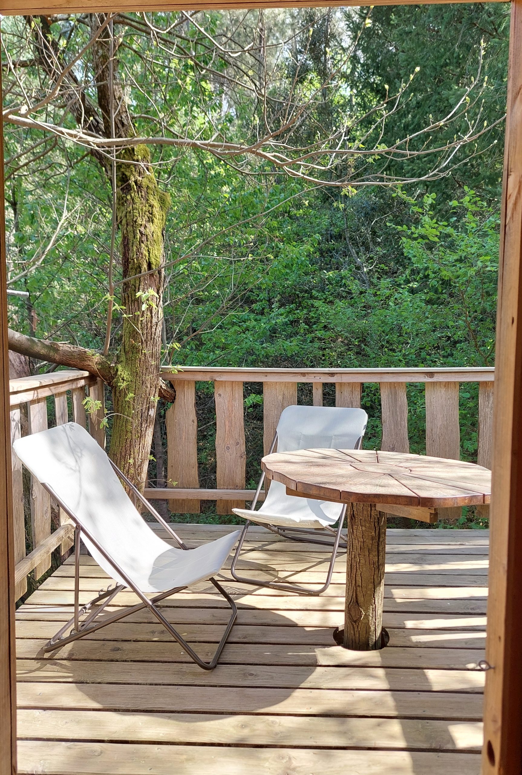 20240415_160950 Cabane perchée en Languedoc-Roussillon avec terrasse en bois et chaises confortables.