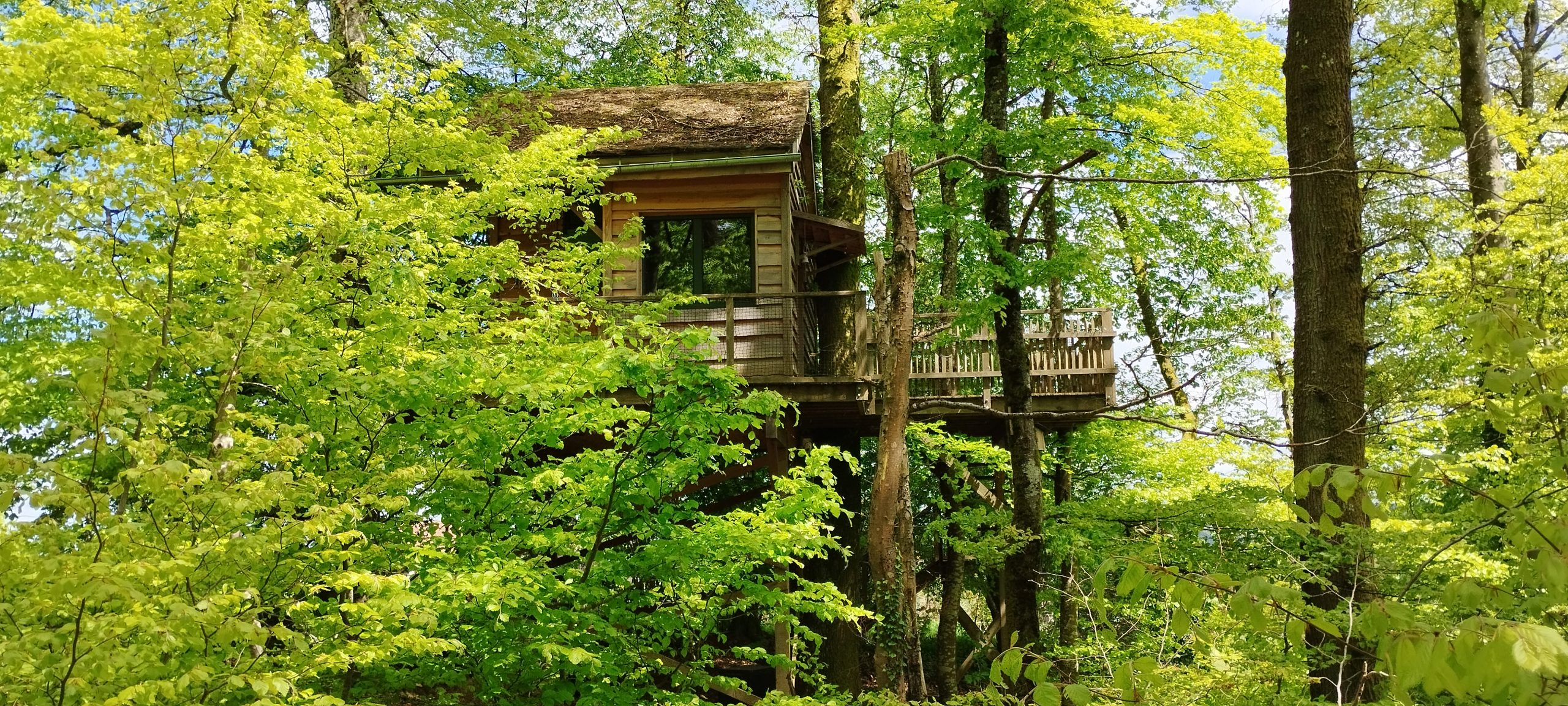 IMG_20240509_135327 Cabane perchée dans les arbres, entourée de feuillage verdoyant au Grand-Est.
