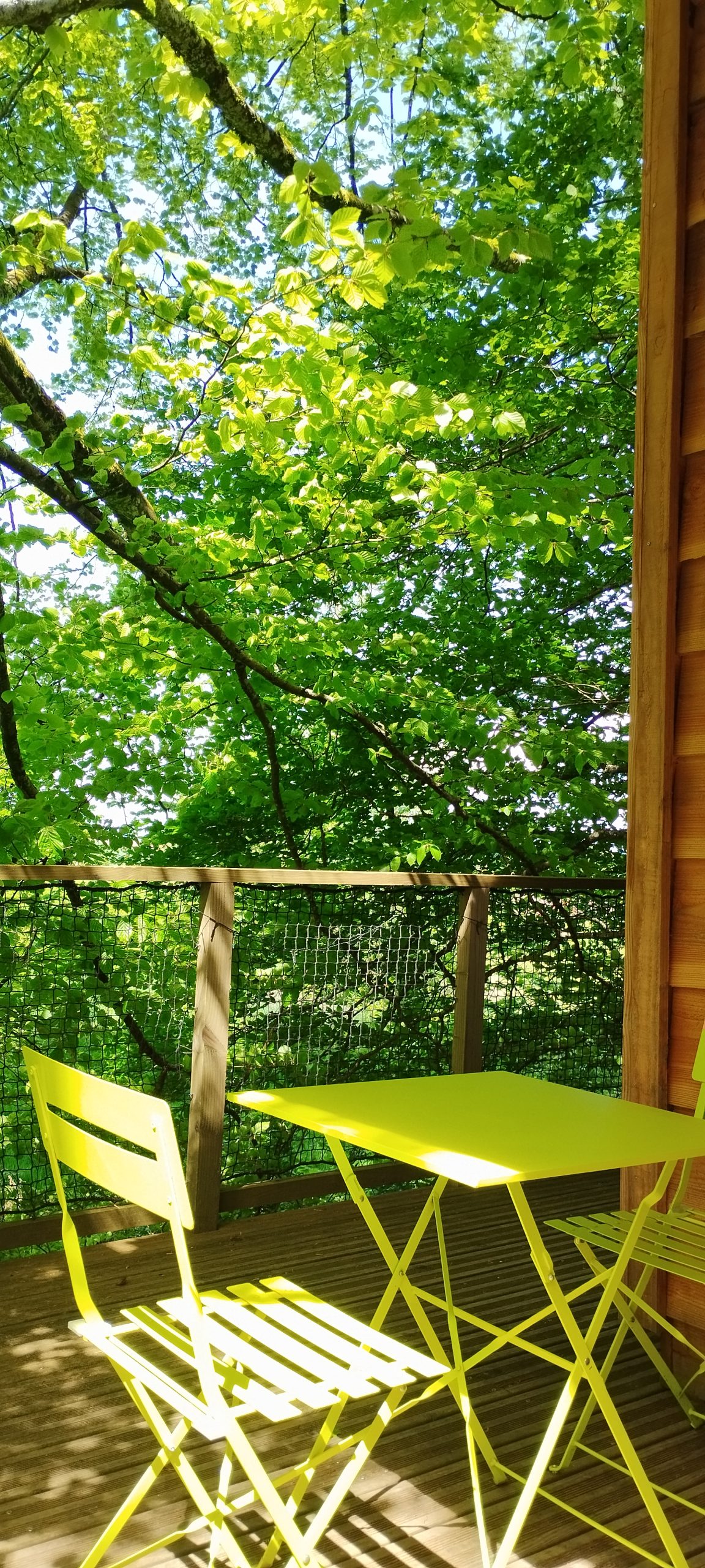 IMG_20240512_150719 Cabane perchée à Grand-Est, avec terrasse et mobilier jaune vif entouré de verdure.
