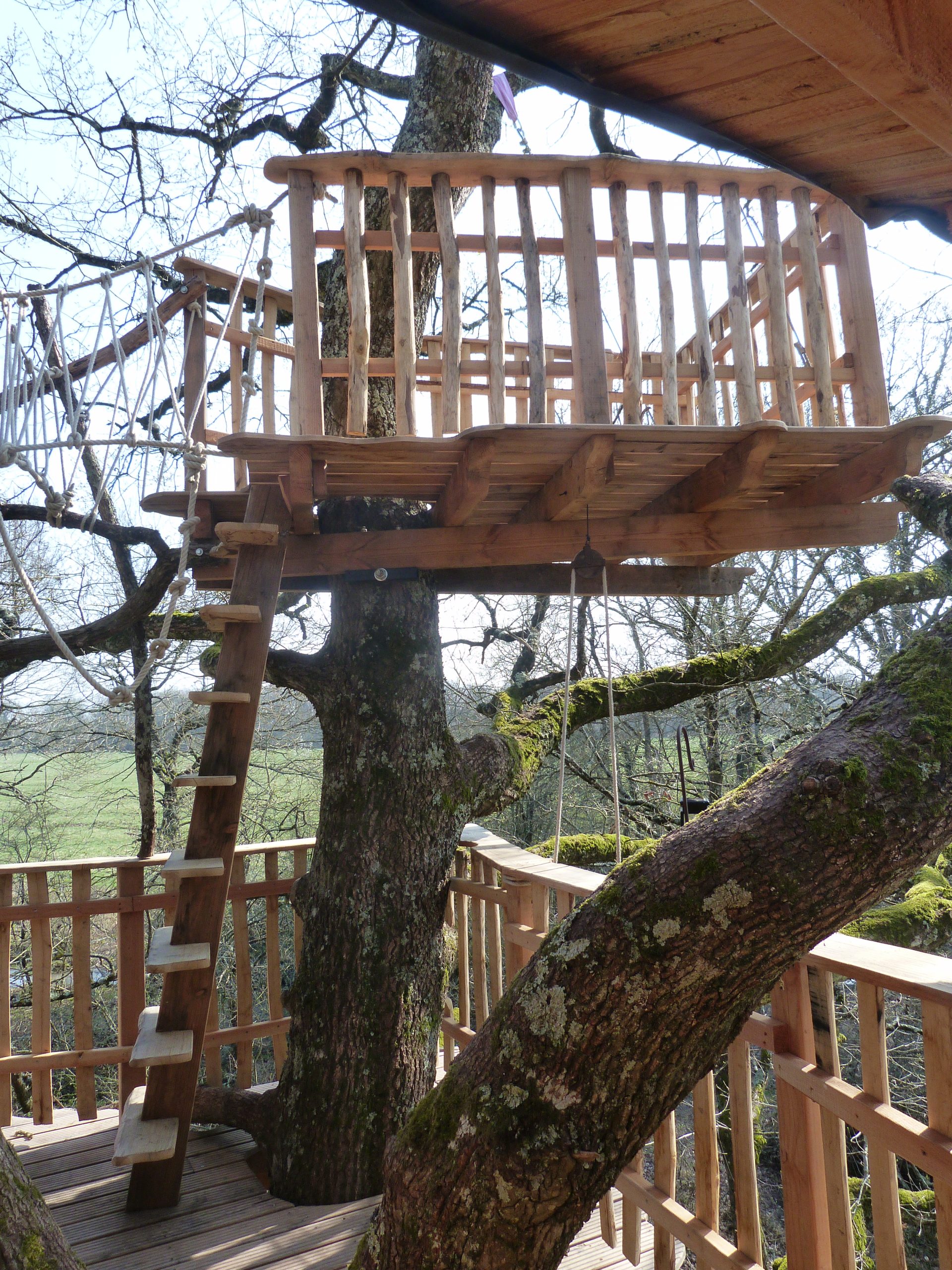 P1040949 Cabane dans les arbres avec terrasse en bois, nichée dans la verdure.
