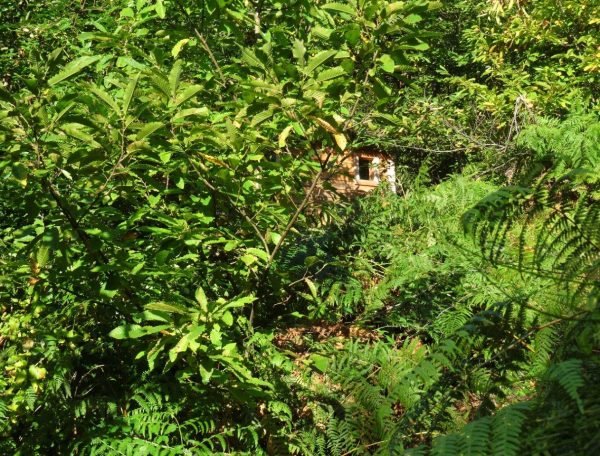 Peyrolles 3 - notre cabane