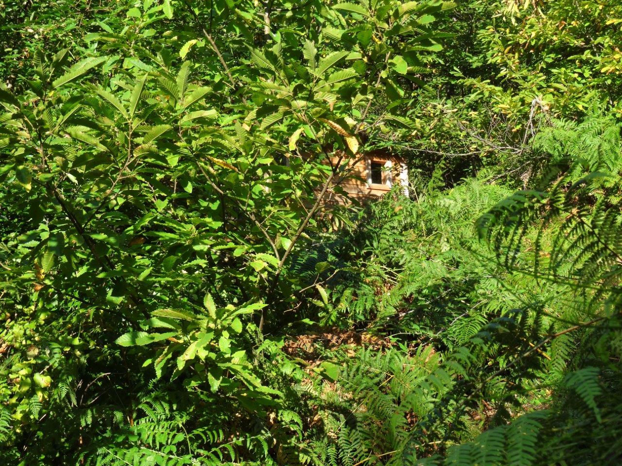 Peyrolles 3 - notre cabane