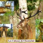 Les Cabanes de Chanteclair