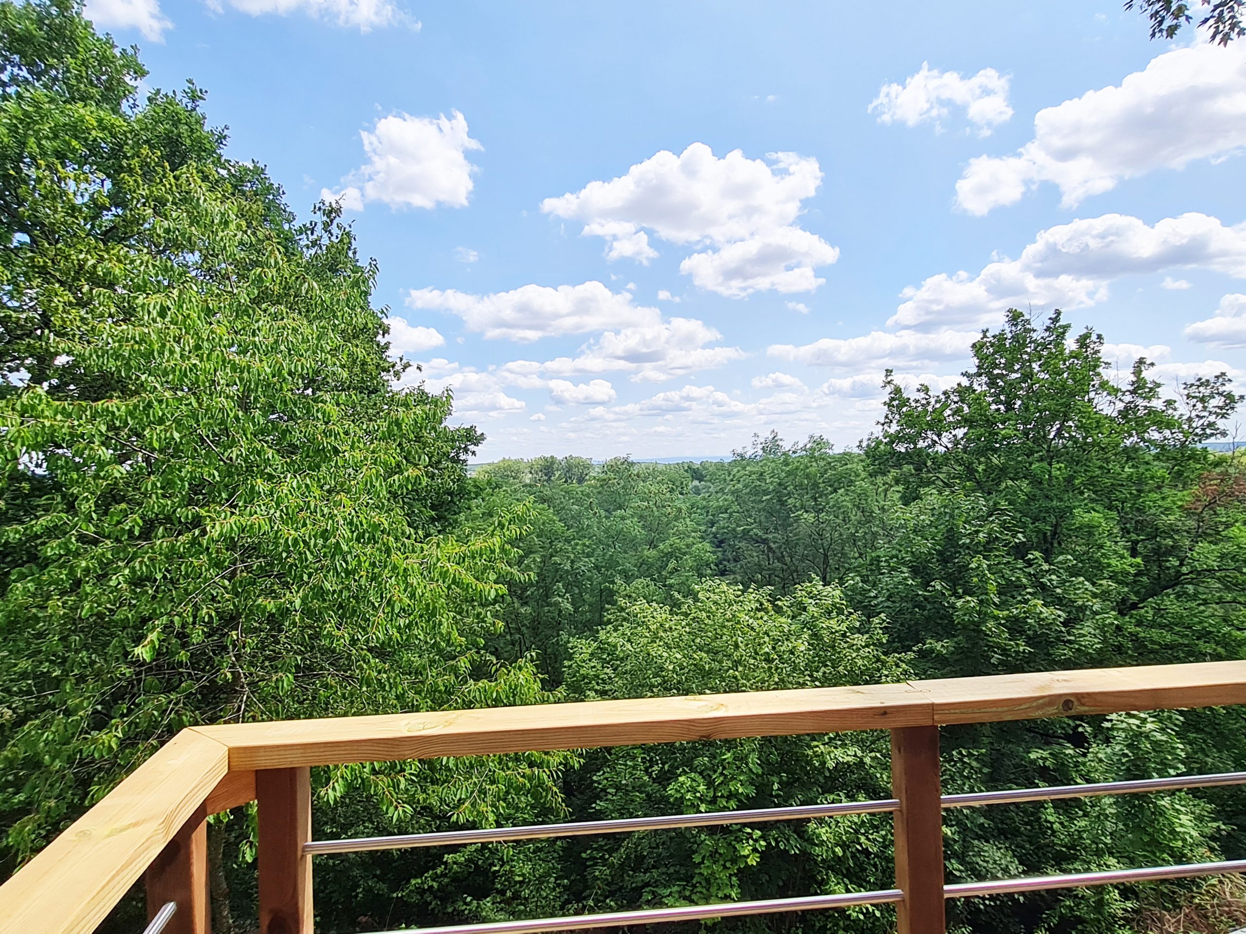 vue-cabane Cabane perchée en pleine nature, vue panoramique sur la forêt verdoyante.