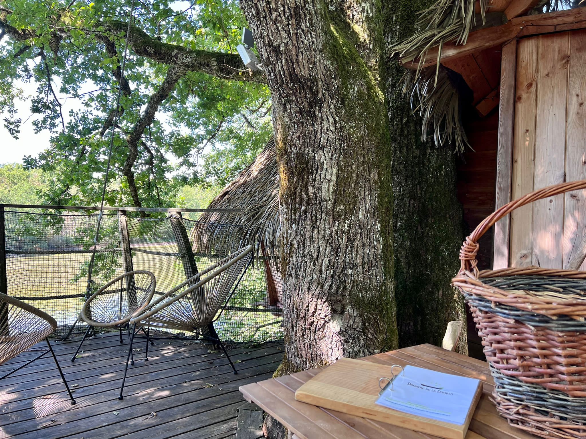 0dcd9d2a-a3ff-4b9c-ba6b-7bb91e0cba76 Cabane perchée en bois, avec chaises en osier et vue sur la nature environnante.