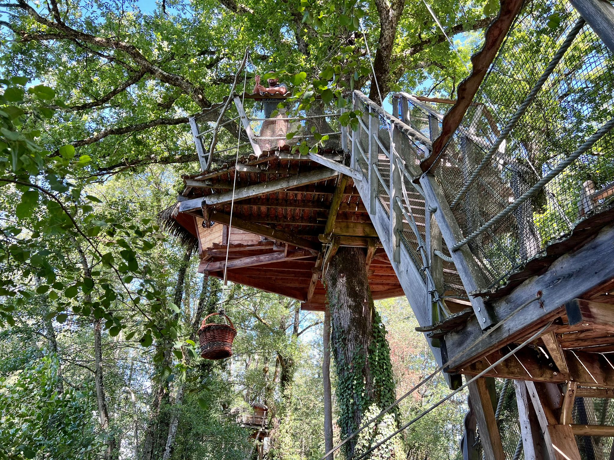 2f5e3270-d06c-4742-982a-aaa5fb9df7a4 Cabane perchée dans un arbre, accessible par une échelle, entourée de verdure.