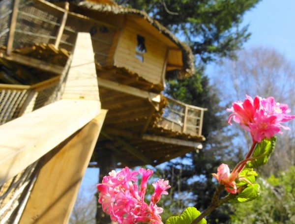 Ar-Maen-et-les-cassis-fleurs