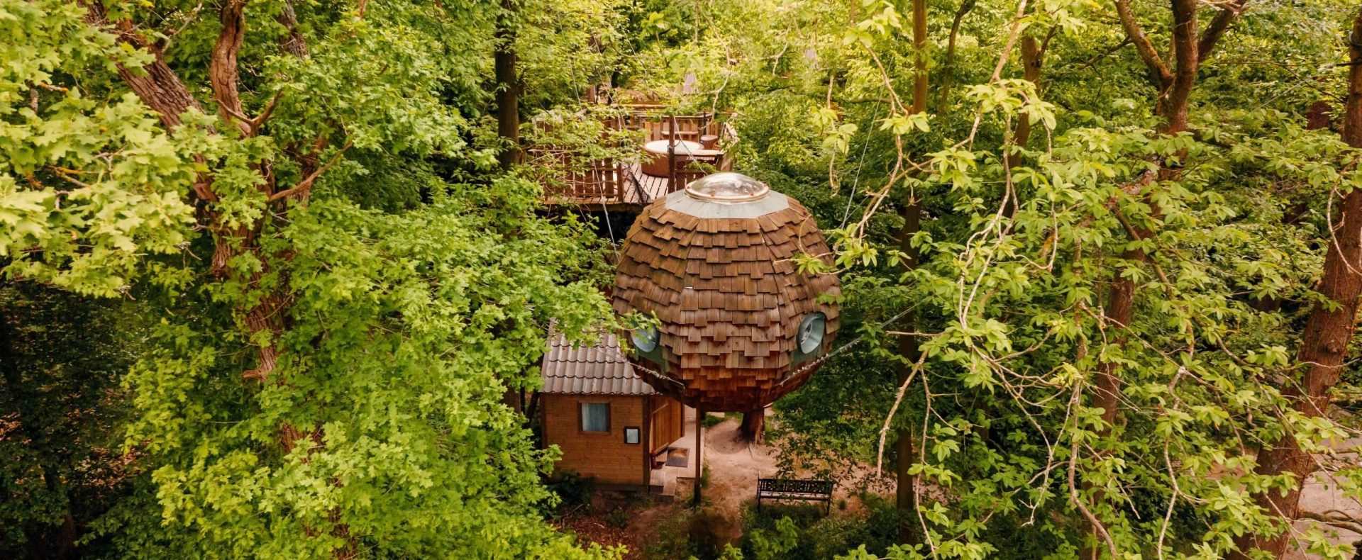 Cabane dans les arbres, entourée de verdure luxuriante et dune vue panoramique.