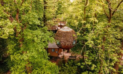 Cabane dans les arbres, entourée de verdure luxuriante et dune vue panoramique.