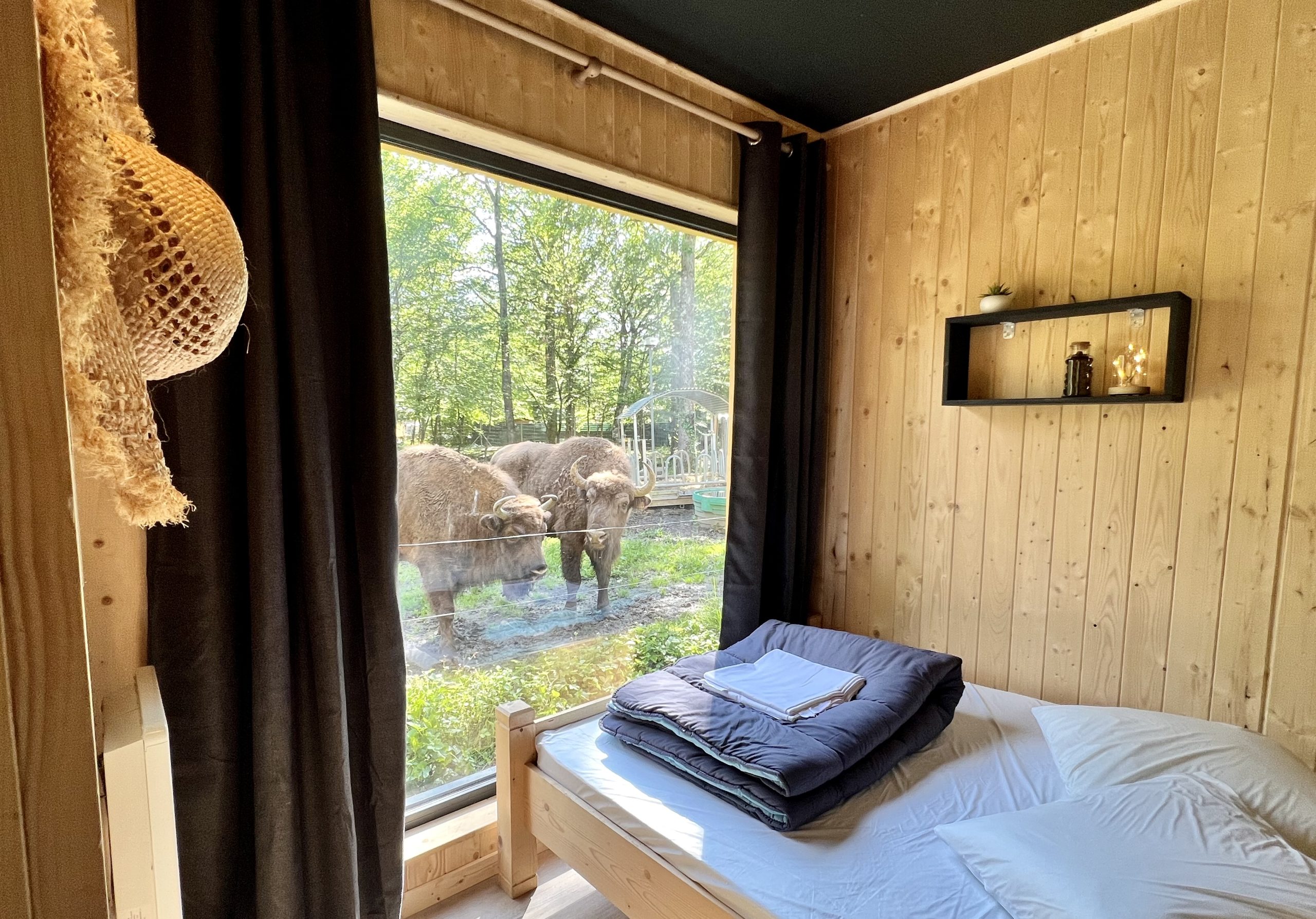 Cabane Clairière domaine de la dombes (14) Chalet en bois avec vue sur des bisons dans un cadre naturel apaisant.
