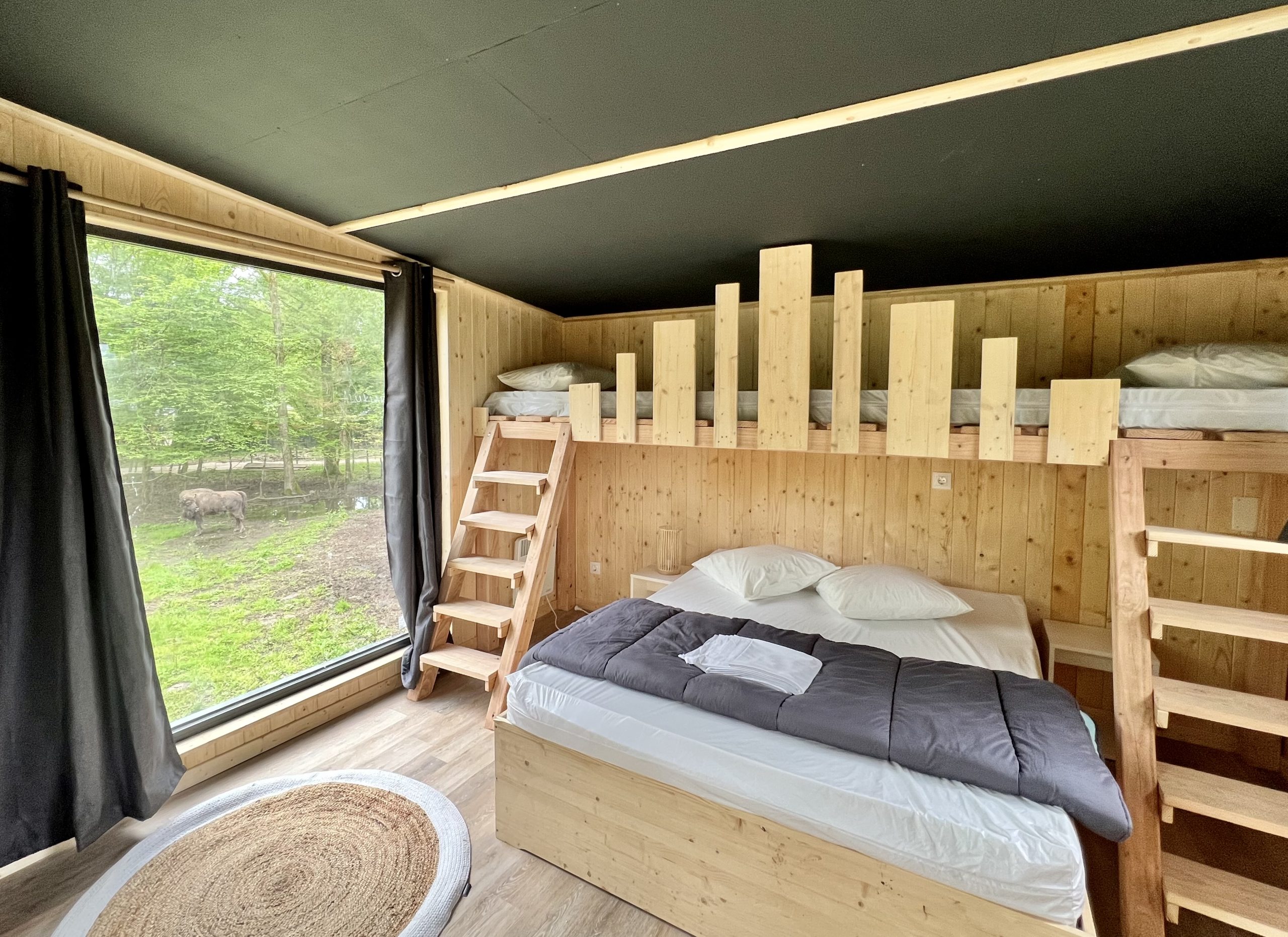 Cabane Clairière domaine de la dombes (2) Chalet en bois avec lits superposés et vue sur la nature en Auvergne-Rhône-Alpes.