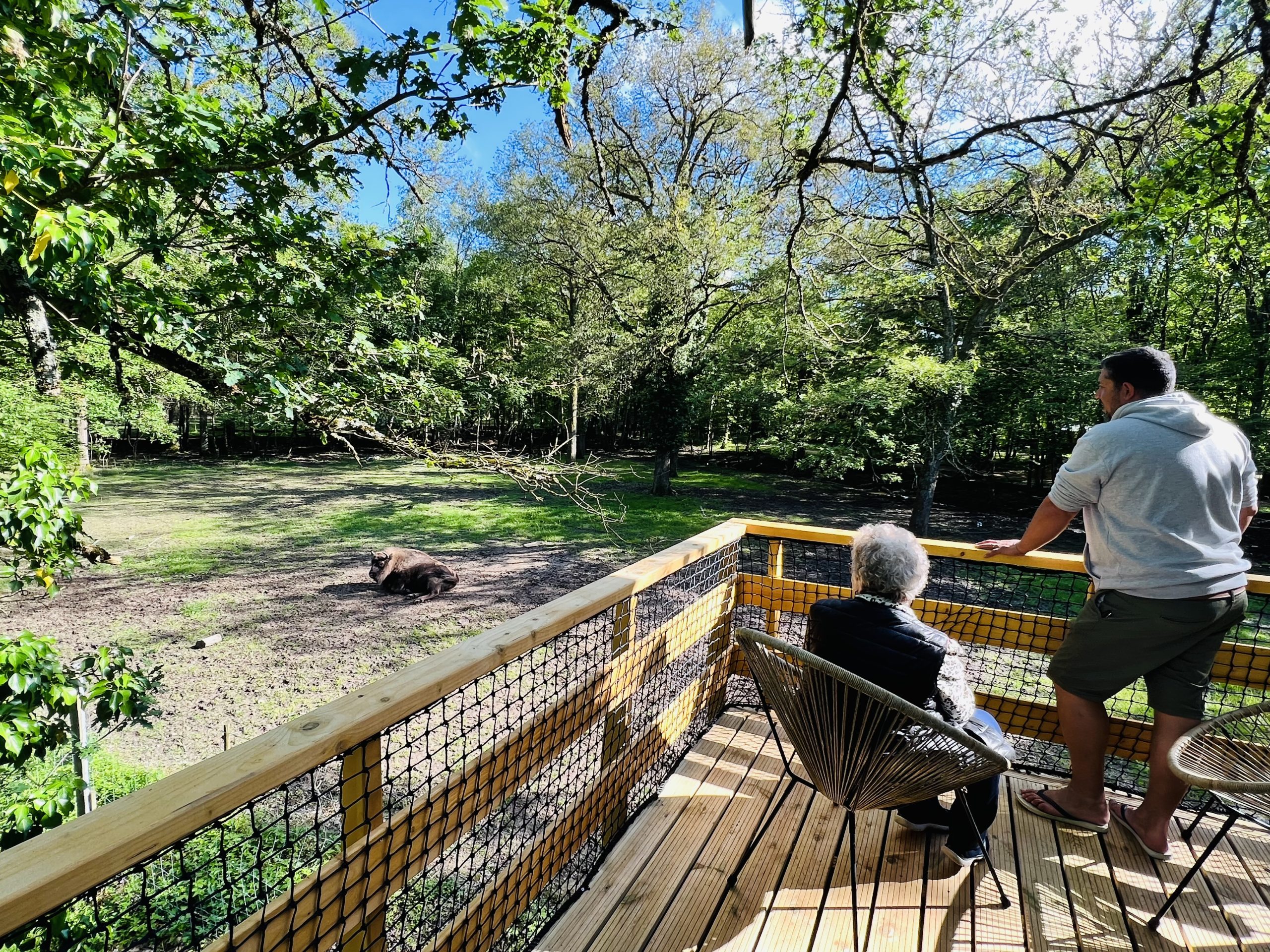 Cabane Clairière domaine de la dombes (28) Auvergne-Rhône-Alpes - Hébergement insolite