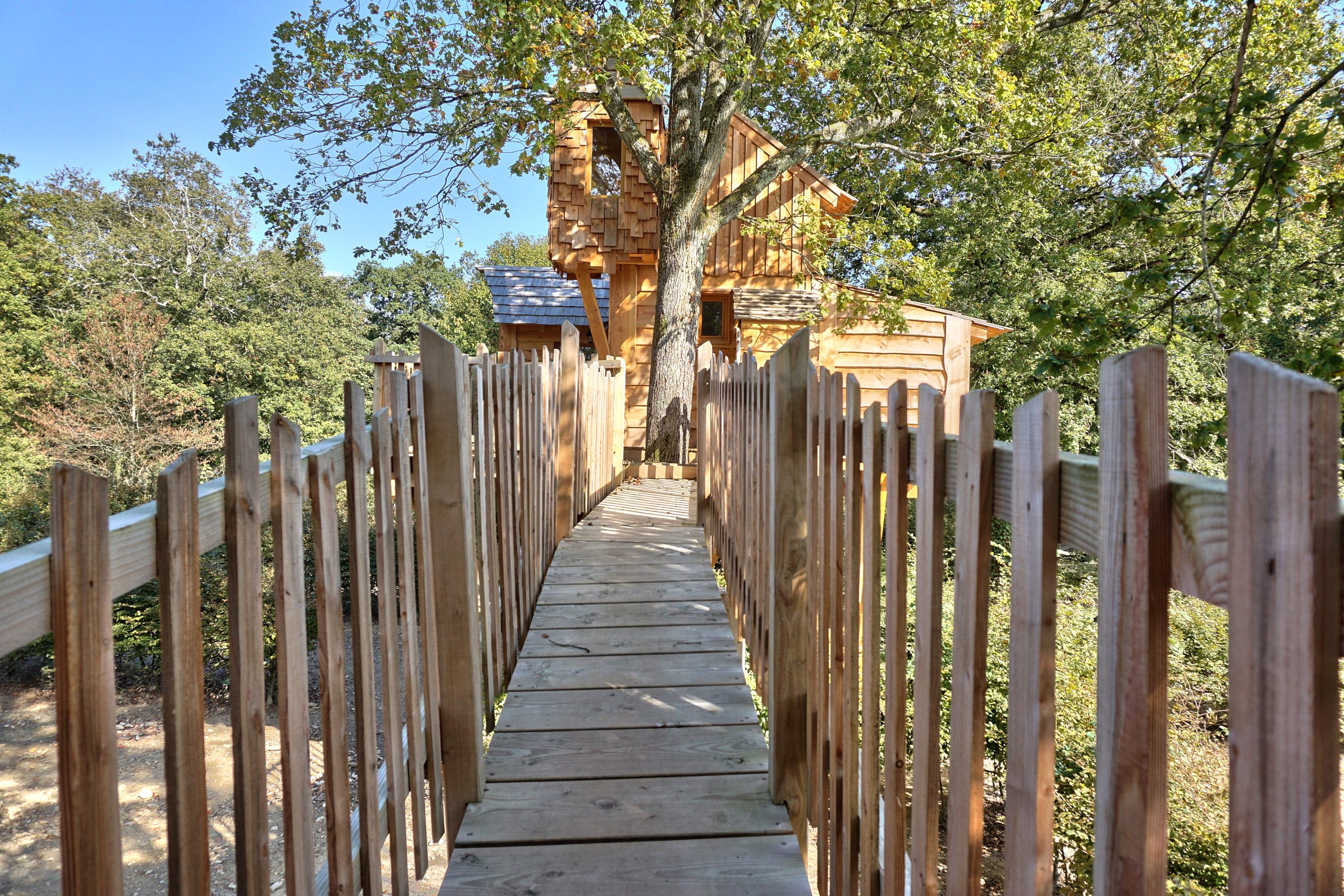 Chenes (3) Cabane perchée en bois avec un pont en bois menant à un arbre majestueux.