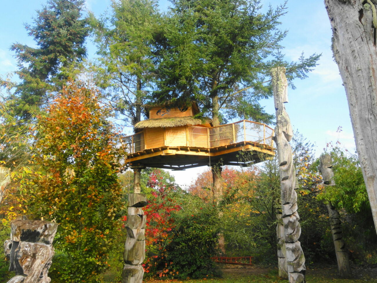 DSC01486-1-scaled-e1627464467708