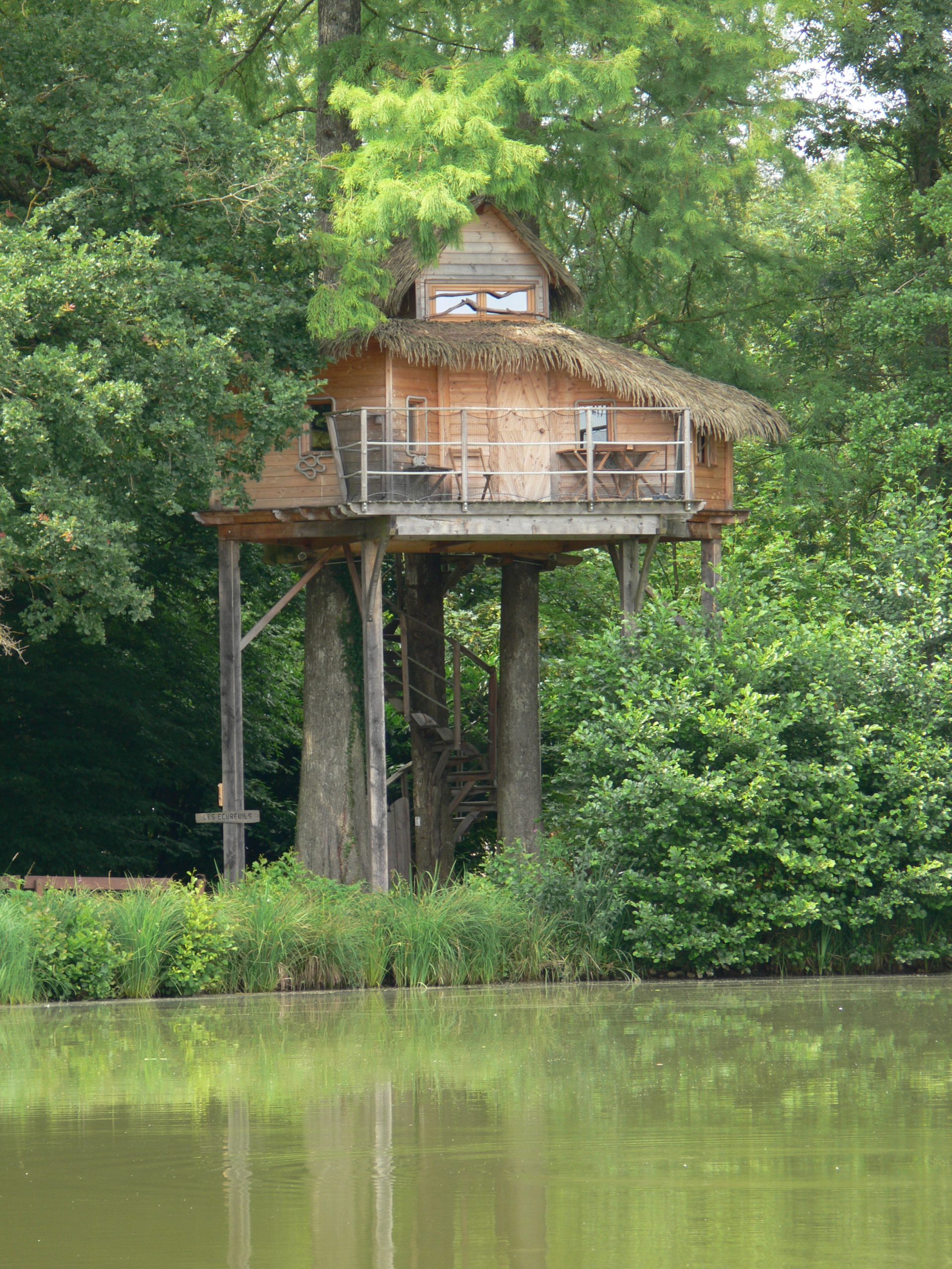 Ecureuils0 Cabane perchée en bois avec balcon, entourée de verdure et au bord dun étang.