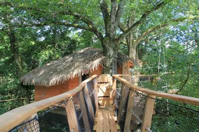 Feuilles (1) Cabane perchée dans les arbres, accès par une passerelle en bois, entourée de verdure.
