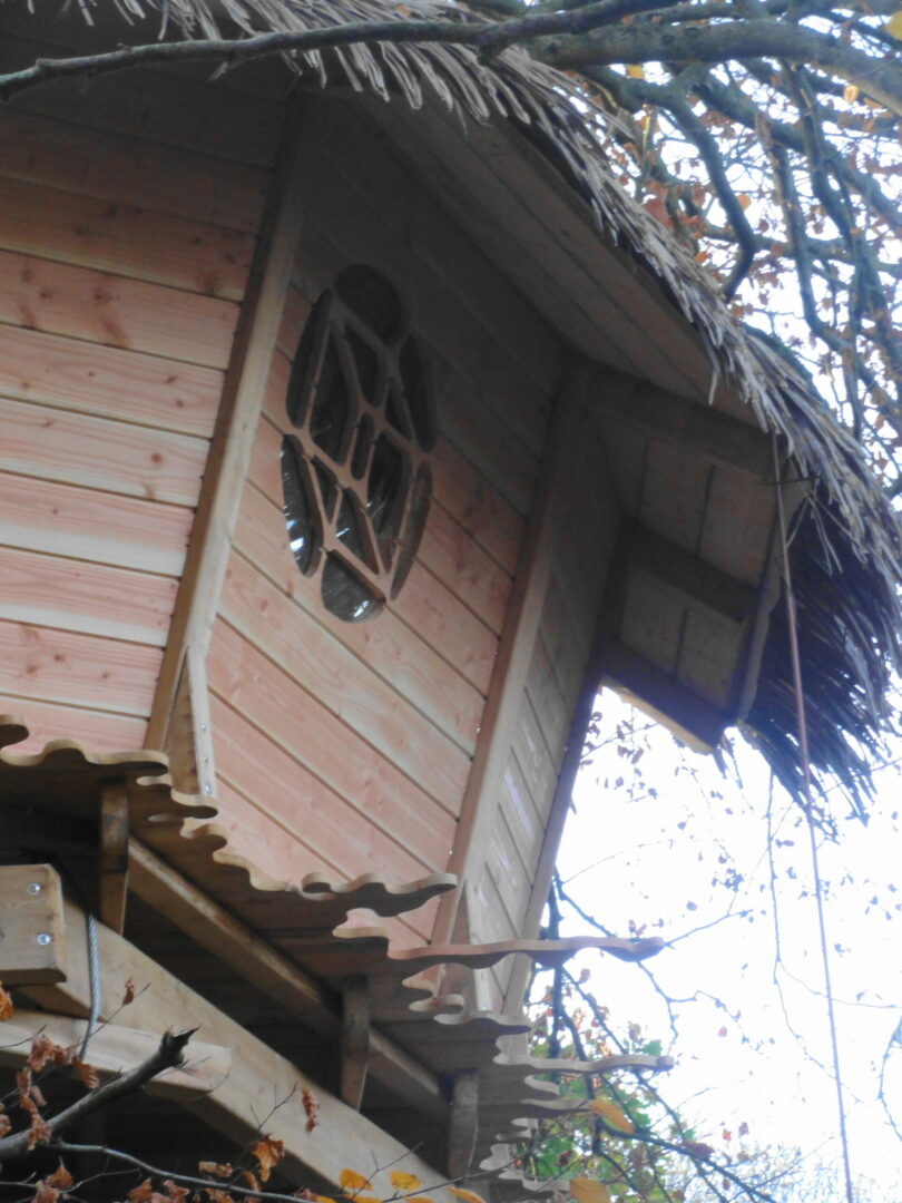 Gunnera2 Cabane perchée en bois en Bretagne, avec une fenêtre en forme de tortue.