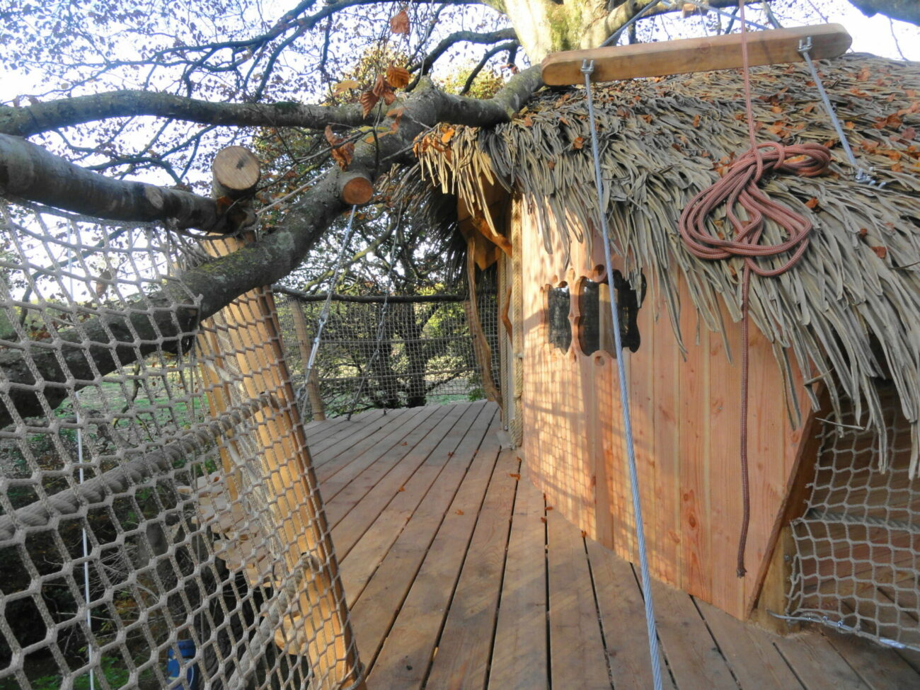 Gunnera4 Cabane perchée en Bretagne, toit en chaume et terrasse en bois suspendue.