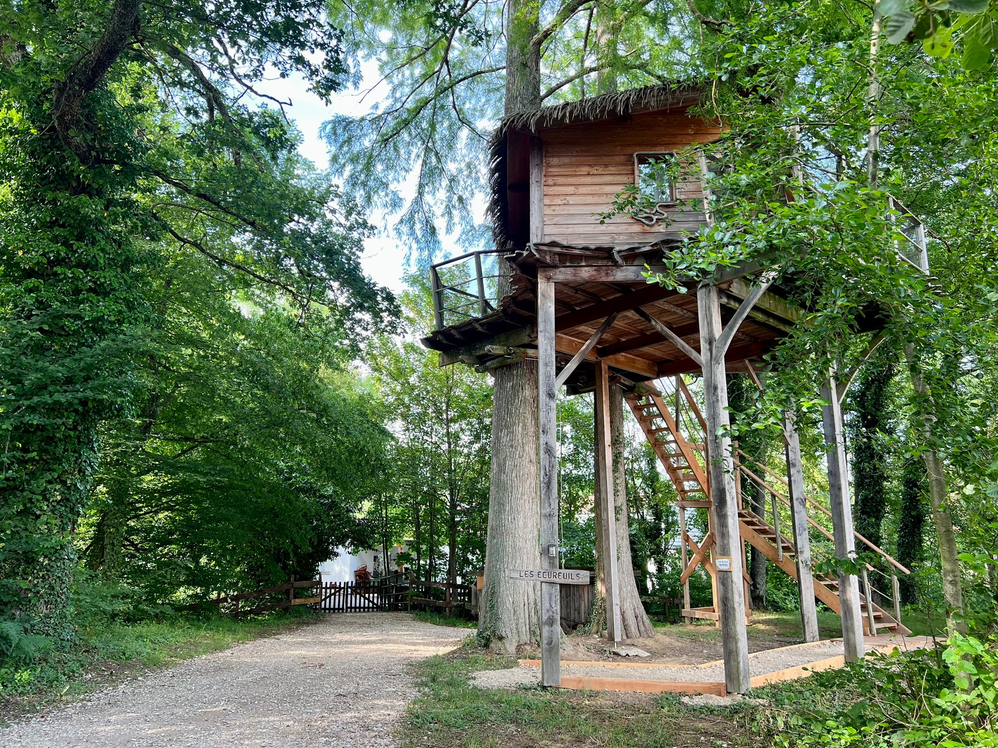 PHOTO-2023-06-12-18-17-30(1) Cabane perchée dans les arbres, entourée de verdure, offrant une vue apaisante.