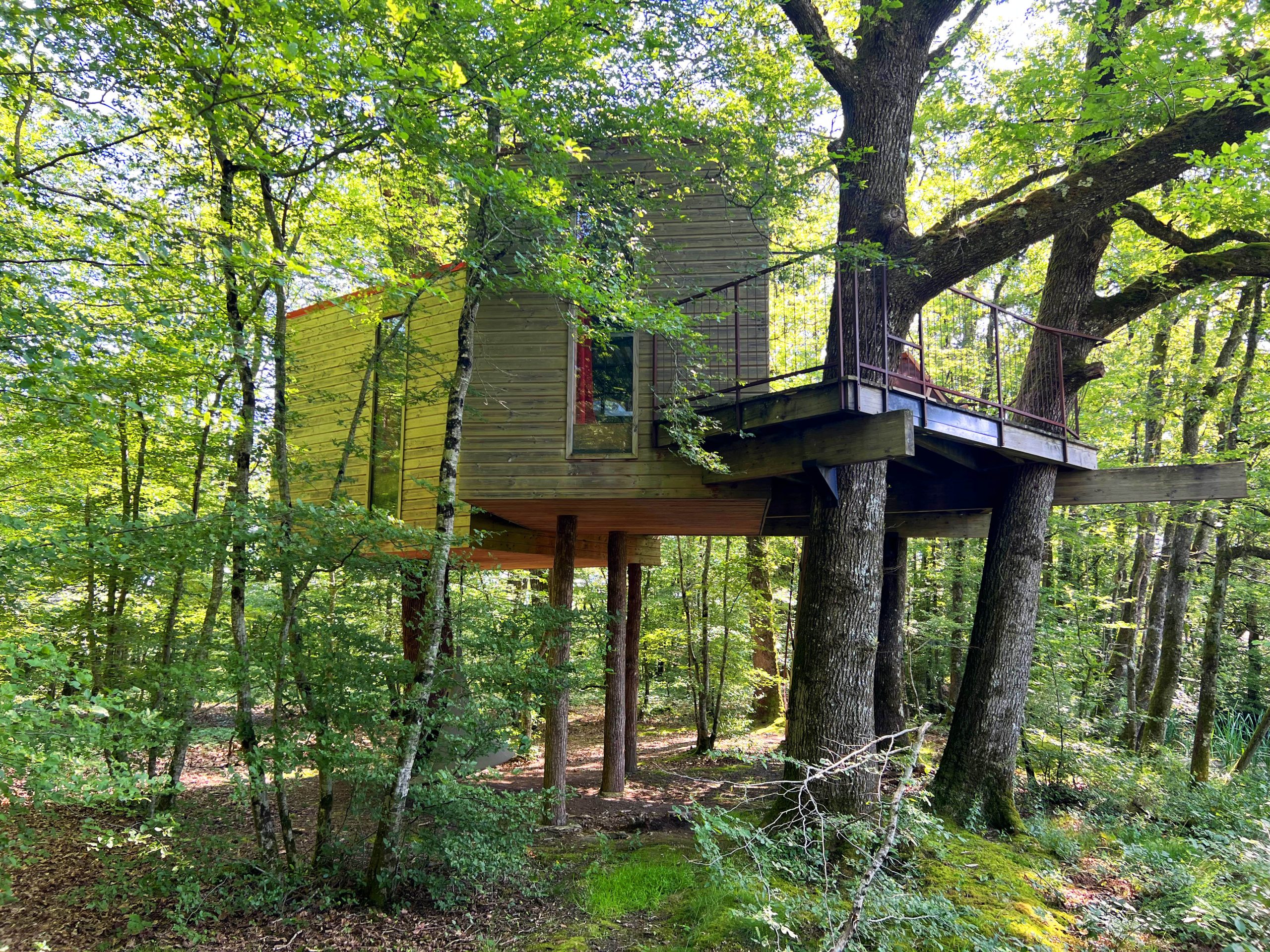 Eau2 Cabane perchée dans les arbres, entourée de verdure en Bourgogne.