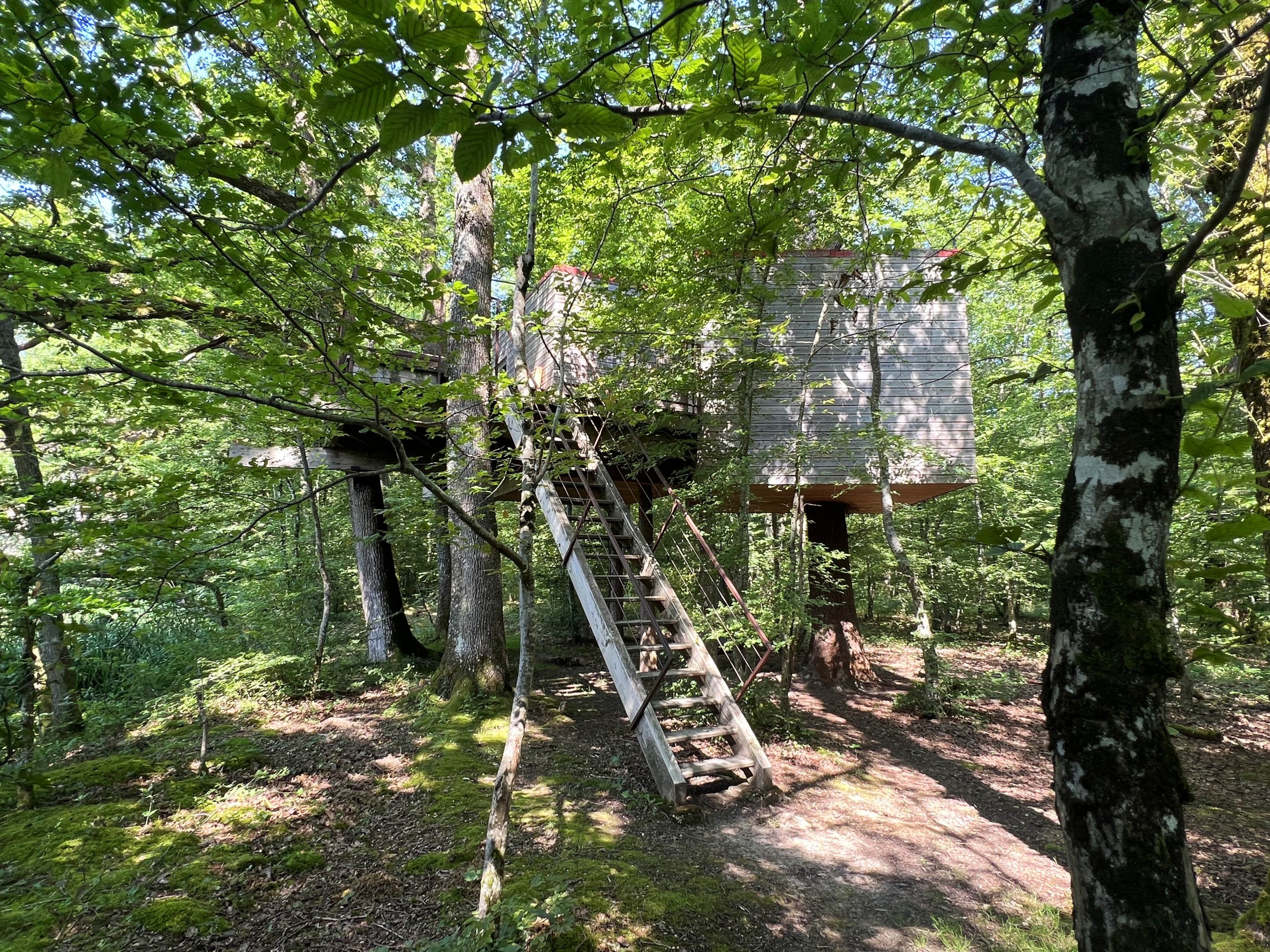 Eau6 Cabane perchée en Bourgogne, entourée darbres verdoyants et accessible par une échelle.