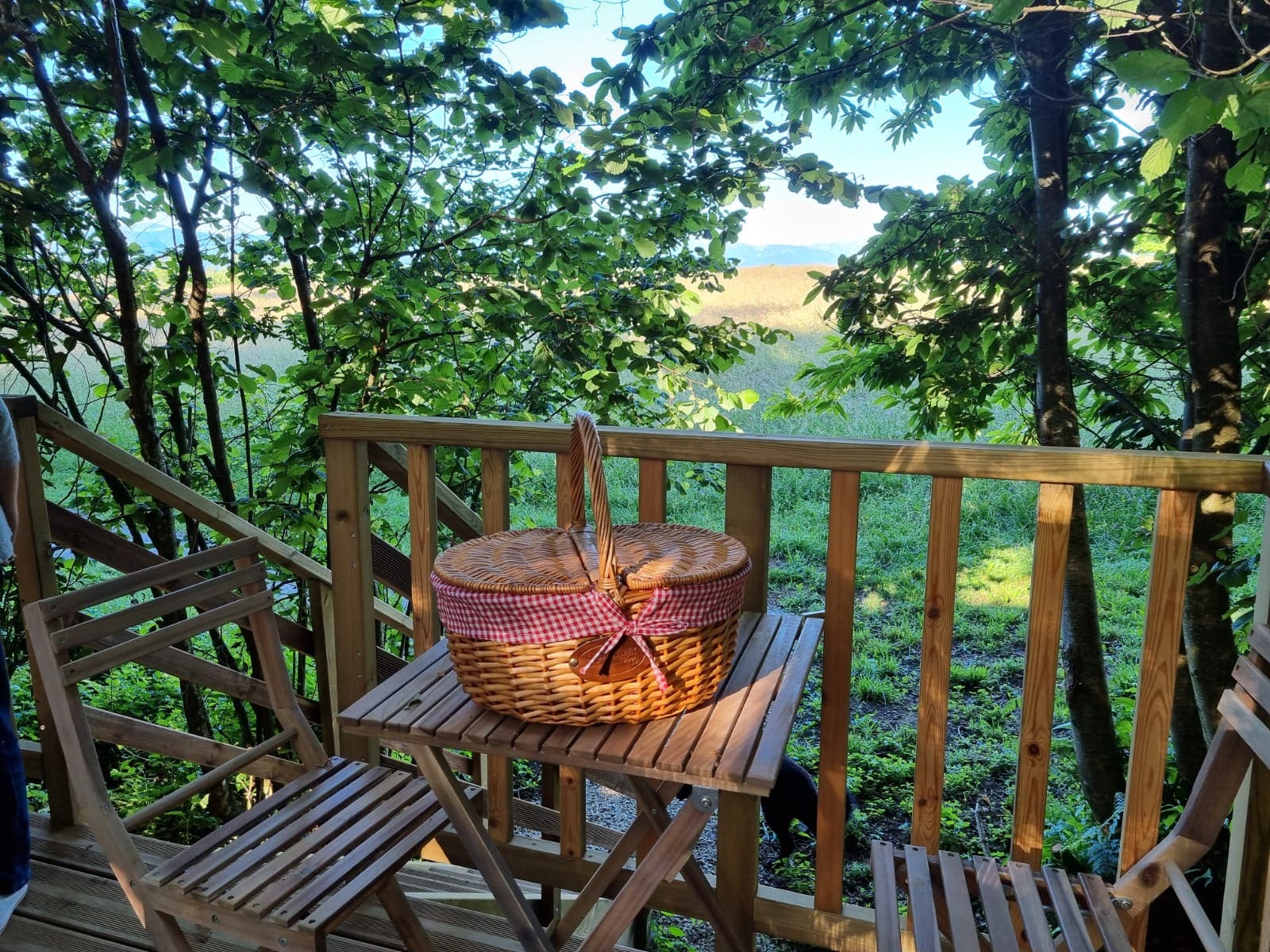 IMG-20240616-WA0000 Cabane perchée en Midi-Pyrénées avec un panier pique-nique sur une terrasse en bois.