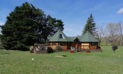 Le Kota – A l’abri des cyprès