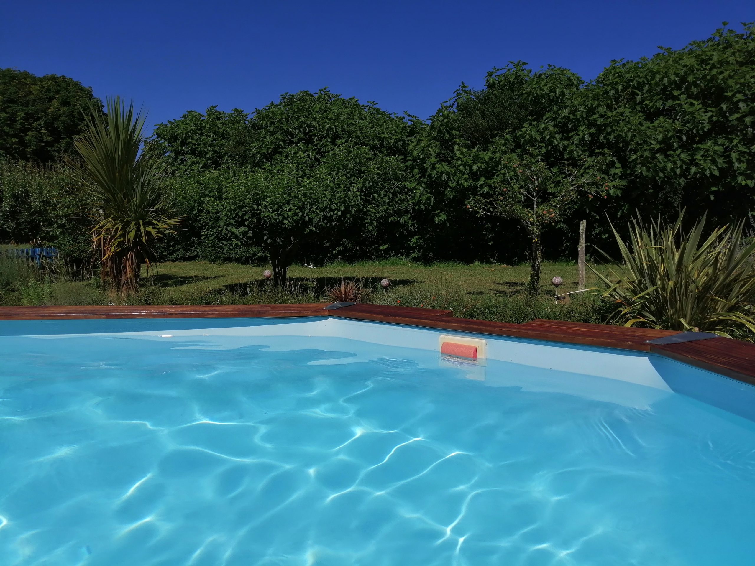 IMG_20240625_173137 Hébergement insolite en Midi-Pyrénées avec piscine turquoise et verdure environnante.